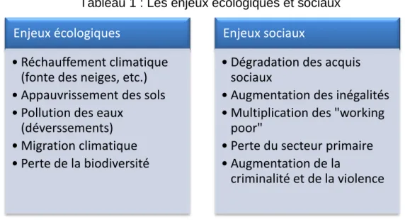 Tableau 1 : Les enjeux écologiques et sociaux 