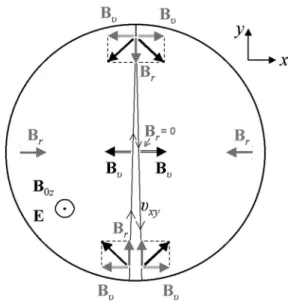 FIG. 10. From [4]. Showing the B xy fields (in black) seen by a particle going back and forth close to the y-axis
