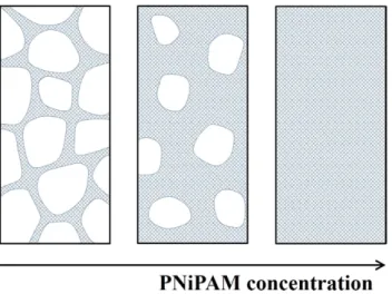 Figure 7.  Scenario proposed to account for the concentration independent shrinking behaviour