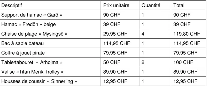 Tableau 2 : Budget pour l’équipement de la terrasse 