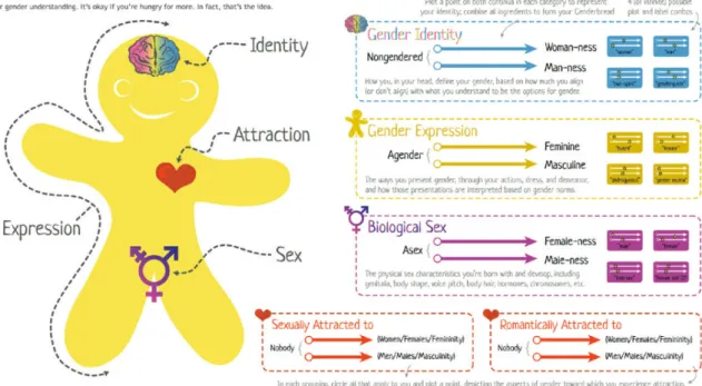 Figure 2 : Les différents paramètres du genre, du sexe   et de l'orientation sexuelle 