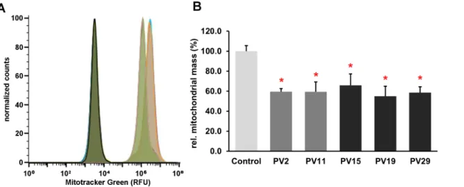 Fig 8. Evaluation of the relative mitochondrial volume in MDCK cells by FACS. A) The normalized histogram showed a left shift for the PV-positive MDCK PV15 (light green peak) compared to control MDCK cells (orange peak), the autofluorescence of the 2 cell 
