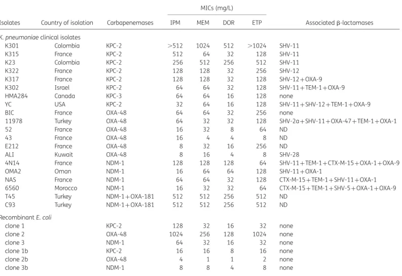 Table 1. Features of clinical isolates and recombinant strains