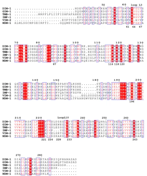 Fig 1. Alignment of DIM-1 with Selected Subclass B1 Metallo- β -Lactamases. Invariant residues are highlighted on a red background; conservative substitutions are colored red
