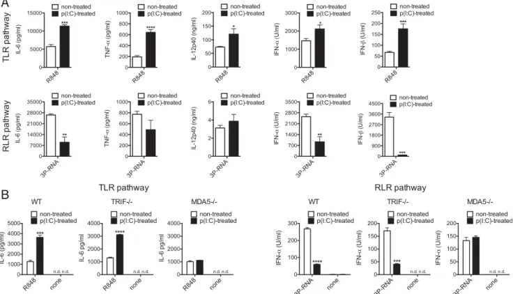 FIGURE 3. Changes in TLR and RLR sensitivity occur in vivo. ( A ) IL-6, TNF-a, IL-12p40, IFN-a, and IFN-b in serum of mice injected with naked poly (I:C) and treated 24 h later for 2 h with R848 or 3P-RNA complexed with JetPEI