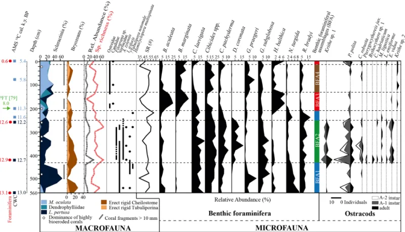 Fig 2. Distribution of main macrofaunal components, benthic foraminifera, benthic foraminifera assemblages (BFA) and ostracods in core TTR17- TTR17-401G