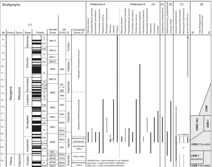 Fig. 8 Stratigraphy. Standard stratigraphy and biostratigraphic ranges of taxa from Wallenried [according to 1 GTS 2012 (built with the time scale creator; https://engineering.purdue.edu/Stratigra phy/tscreator/index/index.php), 2 Steininger (1999), 3, 6 B