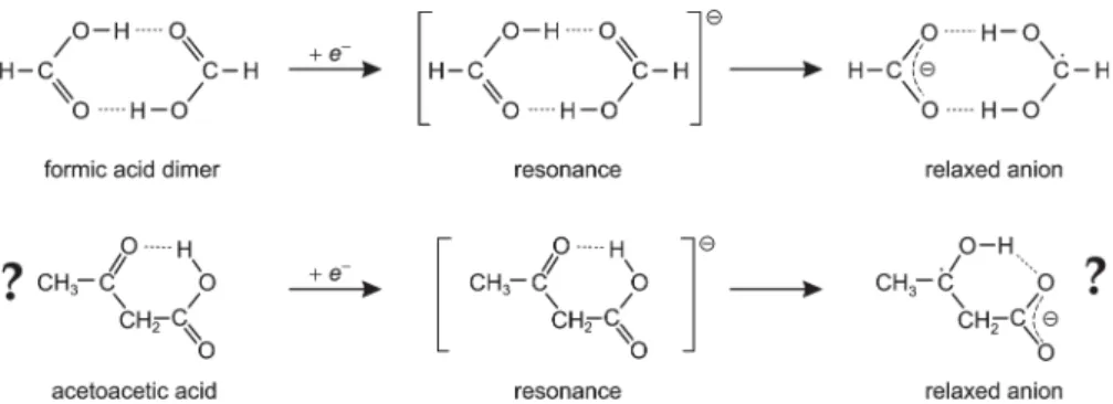 Figure 2. Molecular structures of neutral AA considered in this study.