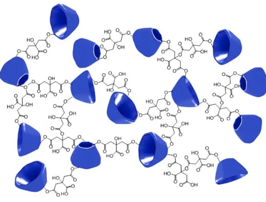 Figure 1.4 Illustration of the two-dimensional structure of the poly(CTR-β-CD) polymer [72].