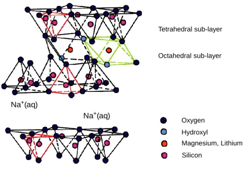 Figure 2.1 Schematic structural model of the synthetic sodium hectorite [4], showing the anionic  three-layer sheets and the interlaminar space containing sodium cations