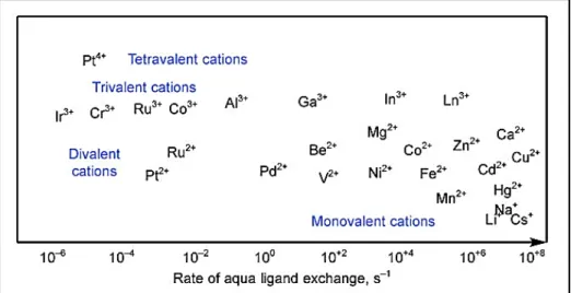 Figure 4. Schematic, logarithmic presentation of relative kinetics of aqua (H 2 O) ligand exchange, for  a variety of metal ions