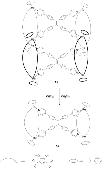 Figure 15. Dynamic structural transformations of the systems A5 vs A6 under solvent control