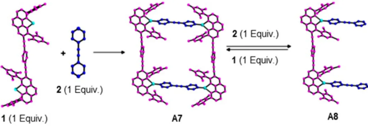 Figure 16. Dynamic interconversion of a thermodynamic stable closed system (A7) to an open  structure (A8) under a stoichiometric control