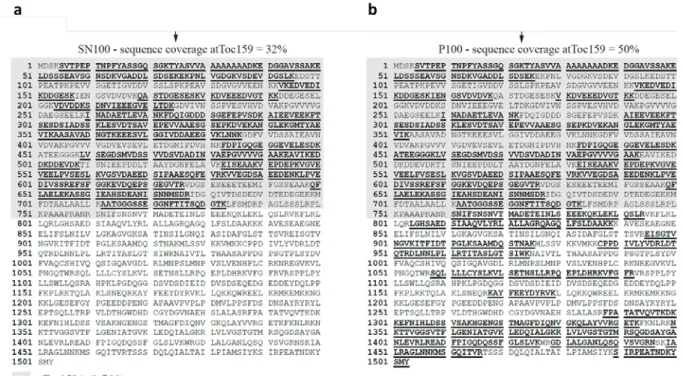 Figure  7: Toc159 A-domain exist as a soluble fragment:  Recombinant  N-terminally TAP-tagged Toc159  expressed in A