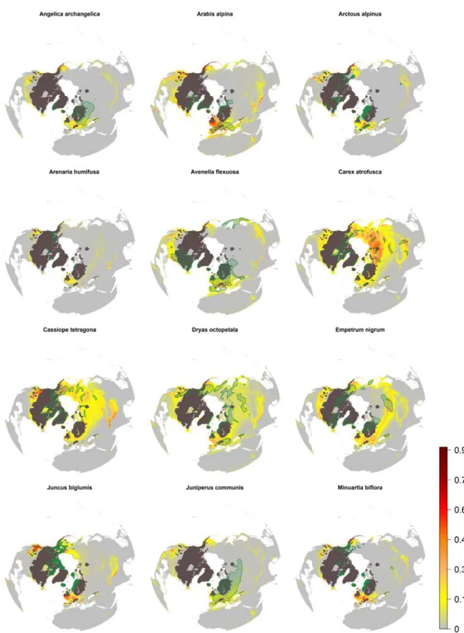 Figure S1. Potential distribution based on climatic suitability of the investigated species  hindcasted to the Last Glacial Maximum (-21 Ky), from the species A