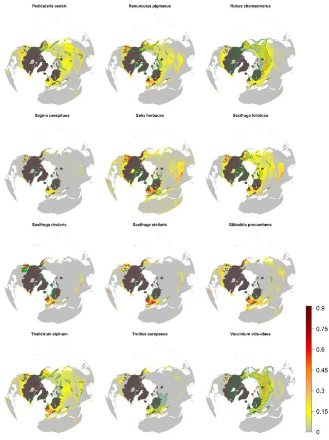 Figure S2. Potential distribution based on climatic suitability of the investigated species  hindcasted to the Last Glacial Maximum (-21 Ky) from the species P