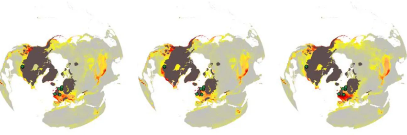 Figure S3. Potential distribution based on climatic suitability for Salix herbacea hindcasted to  the last glacial maximum (-21 Ky) with the three GCMs a) CCSM4, b) MPI-ESM-P, c)  MIROC-ESM