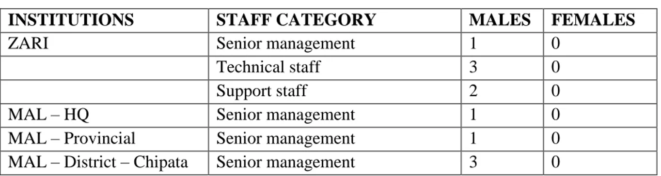 Table 3: Staffing in EGSP work in Zambia 
