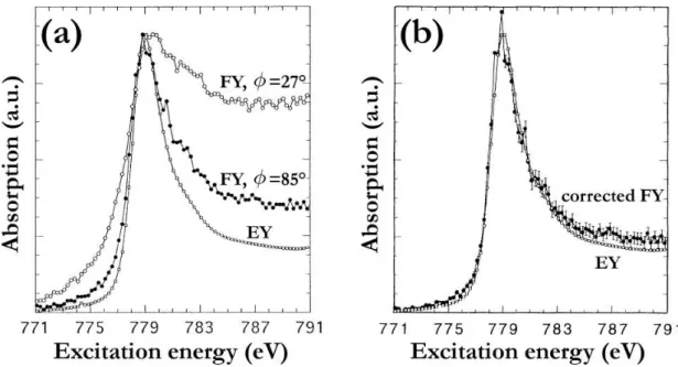 Figure III.2: (a) The Co L 3 -edge absorption spectrum measured with the elec- elec-tron yield and the fluorescence yield for two incident angles: 27 ◦ and 85 ◦ [80]