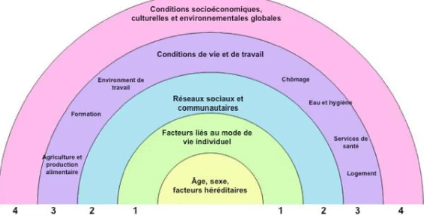 Fig. 1 : Modèle des déterminants de la santé (Dahigren &amp; Whitehead, 1991). 