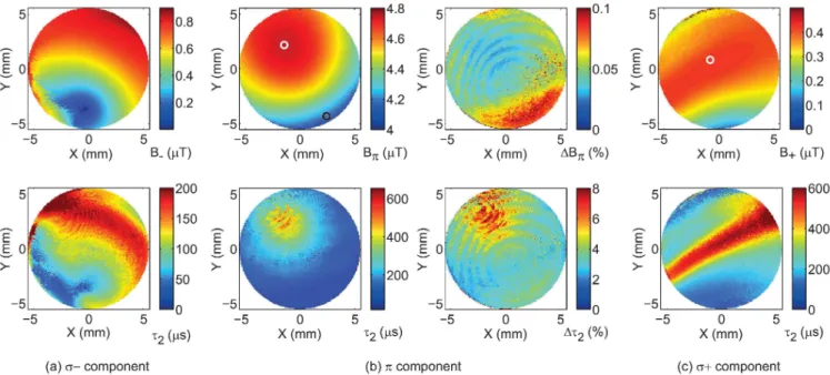 Fig. 6. Imaging results for the amplitude B − , B π , B + of the three microwave magnetic field components and corresponding Rabi oscillation lifetimes τ 2 