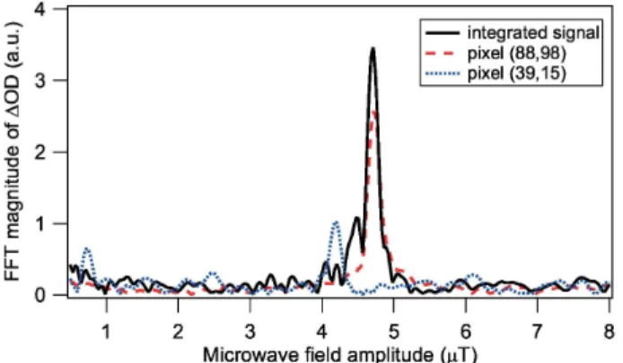 Fig. 9. Image of fit parameter A of (1) for Rabi images of the microwave magnetic field π -component shown in Fig