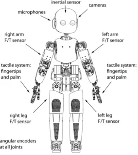 Figure 2.4. A schematic overview of the sensory system of the robot.