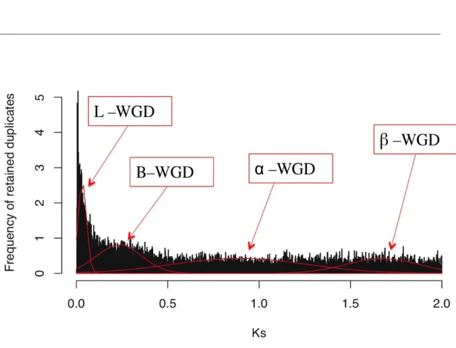 Table 4: Whole genome duplication events. Means Ks and standard errors of inferred whole genome  duplication   peaks