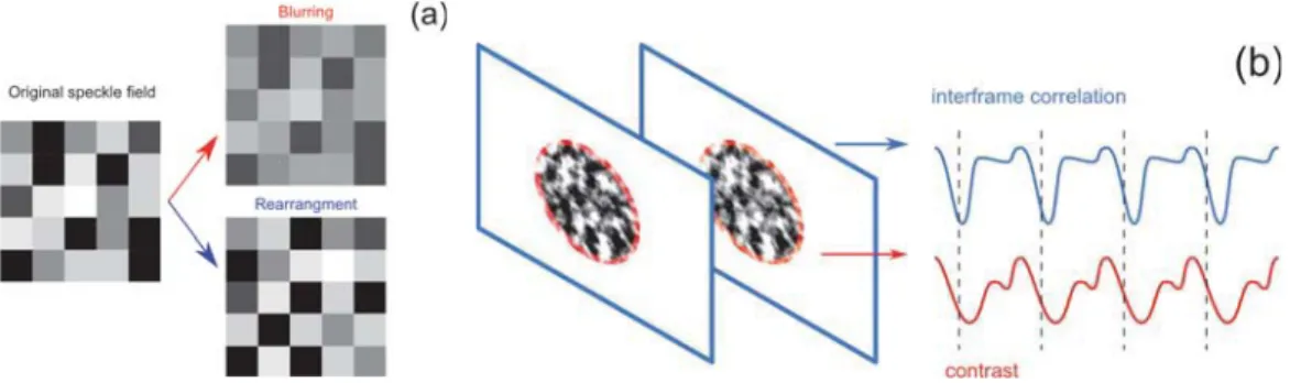 Figure 2 a) Blurring and rearrangement manifestations of speckle dynamics as seen by the camera: Blurring is caused by  continuous dynamics on a time scale shorter than the camera exposure, whereas rearrangements are related to dynamics on a  longer time s