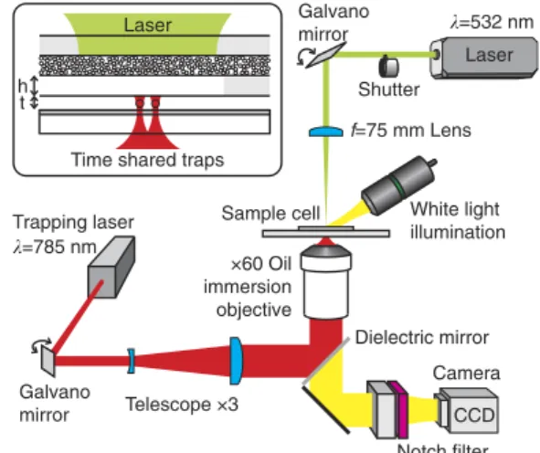 Figure 2 | Experimental setup. An intense green laser (l ¼ 532 nm) is weakly focused on one side of the sample cell using an f ¼ 75 mm lens.