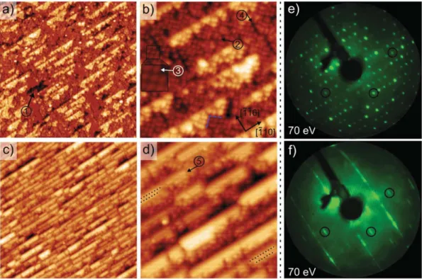 Fig. 2c shows a large scale image showing the formation of quasi-1D structures at 0.3 ML