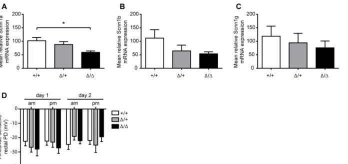 Fig 7. ENaC mRNA transcript expression and activity in colon from CAP2/ Tmprss4 mice under sodium-deficient diet