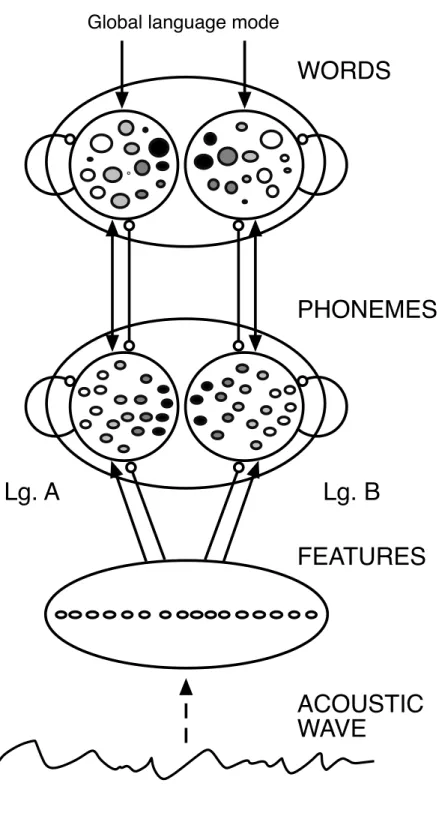 Figure 4.   General architecture of the BIMOLA model. 