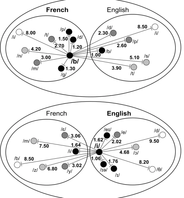 Figure 5.   Distances from French /b/ (at the top) and from English /i/ (at the  bottom) to a select number of other phonemes in the two languages