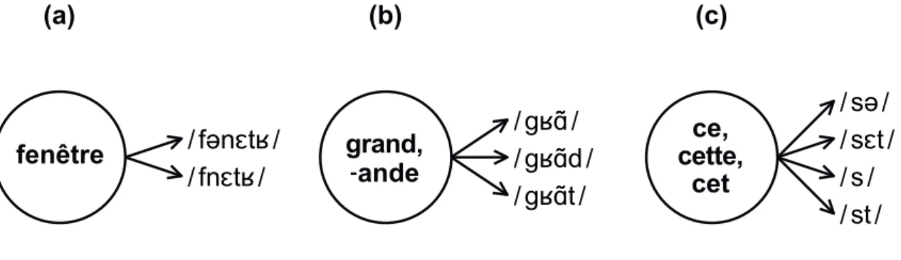 Figure 8.   Schematic representation showing an example for each of three  kinds of words modeled by FN5 using the approach of pronunciation variants
