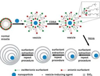 Figure 6. Preparation of nanorattles by two-step spontaneous assembly of hydrolytically formed subunits