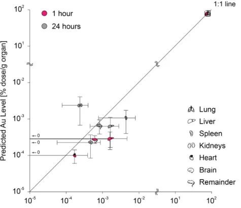 Figure   S12:   Comparison   of   the   PBPK   model   to   biokinetic   data   of   female   Wistar-­‐Kyoto   rats                                                                                                            