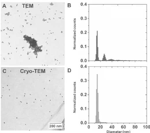 Figure 1. Gold nanoparticles visualized by transmission electron microscopy. 