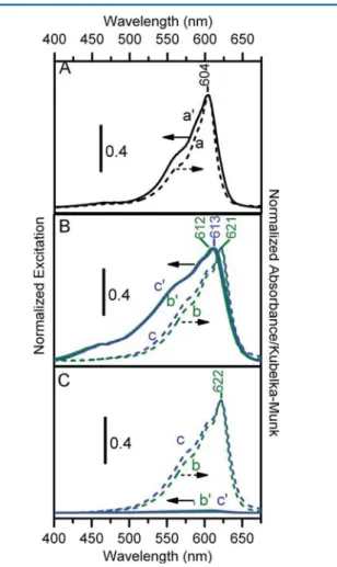 Figure 8. (A) Normalized absorption (a, dashed line) and excitation (a ′ ; solid line; λ em = 700 nm) spectra of thionine acetate in an ethanol solution