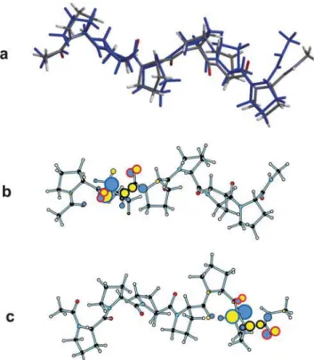 Figure 6. (a) Crystal structure of hexaproline 5 (gray, from ref 18, without the N-terminal p-bromophenyl group) superposed on the M06-2X optimized structure (blue); (b) structure and SOMO of the radical cation obtained by removing an electron from neutral