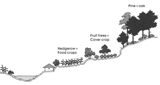 Figure 1: Agroforestry Landscape in Suan County, North Hwanghae Province of DPR Korea 