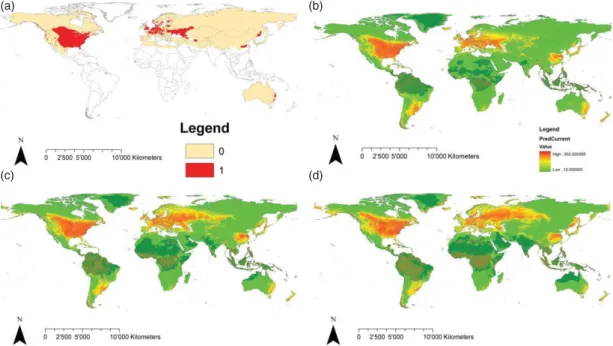 Fig. 9. World-wide potential distribution of Ambrosia artemisiifolia. Information about species occurrences in North America and for the non- non-native distribution in Eurasia and Australia (a) were used to calibrate SDMs providing potential distribution 