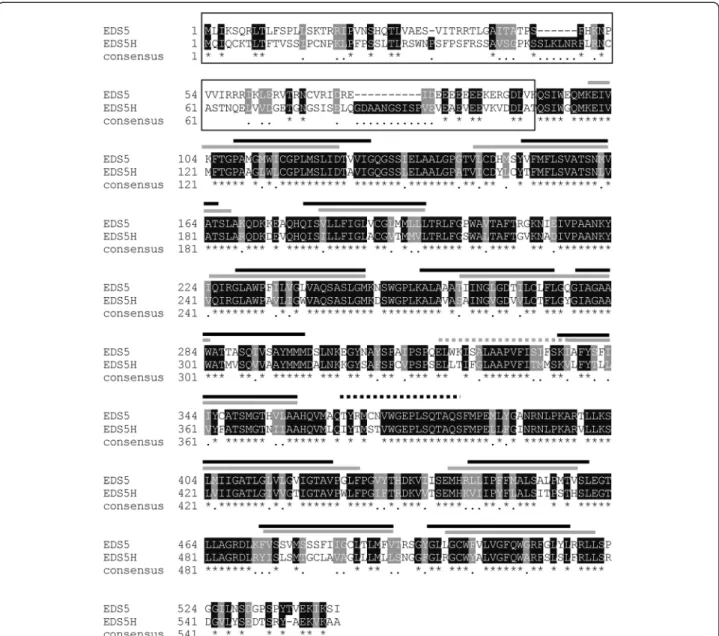 Fig. 1 Alignment of the predicted protein sequences of EDS5H and EDS5. The predicted membrane-spanning domains are indicated above the alignment with a grey bar for EDS5H and black bars for EDS5