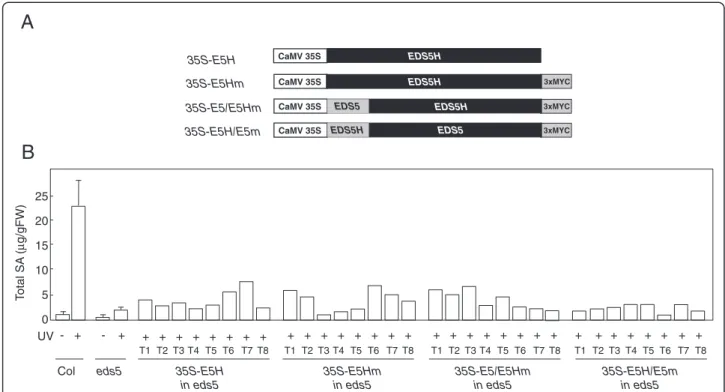 Fig. 7 Characterization of transgenic eds5-3 plants carrying constructs for the overexpression of EDS5H or EDS5H variants