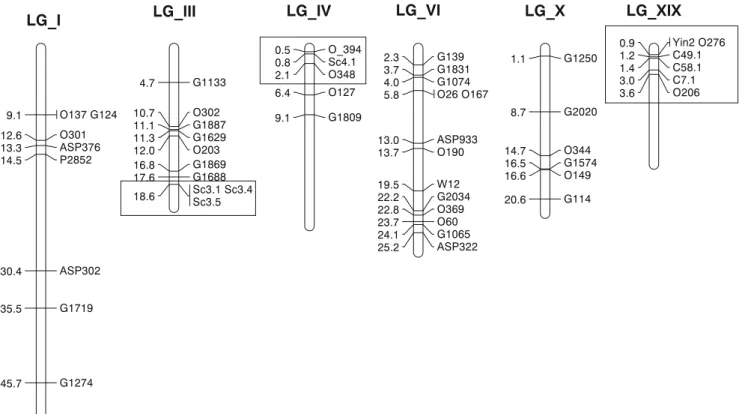 Fig. 1 Populus chromosomes showing the location of microsatellite marker loci included in this study