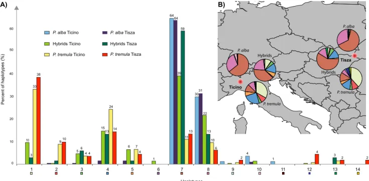 Fig. 3 Frequencies of 14 haplotypes reconstructed from three microsatellites markers located within the MXC3 region on LG IV, expressed as percentages of total numbers of haplotypes in each species and locality