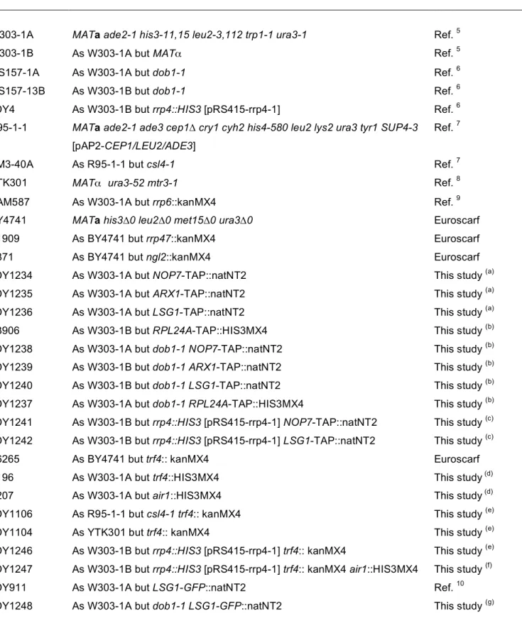 Table S1. Yeast strains used in this study 