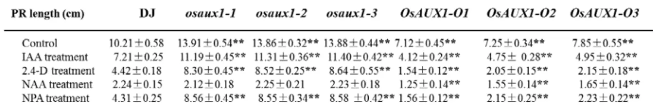 Table S2. LR number of 7 days seedling of WT, osaux1  mutants and  OsAUX1-overexpression lines under various treatments.