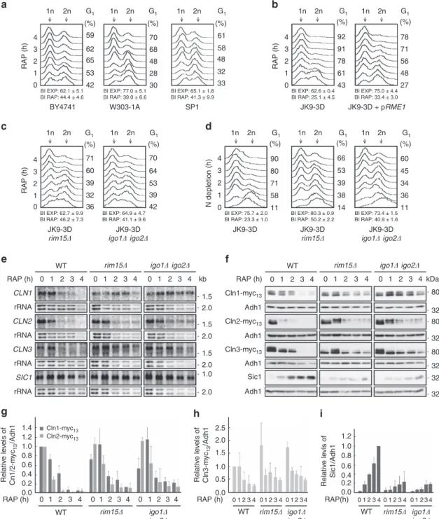 Figure 1 | The greatwall kinase pathway ensures proper G 1 arrest following TORC1 inactivation