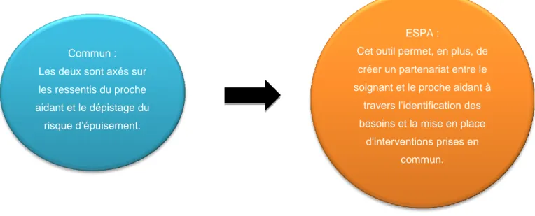 Figure 2. Bulles indiquant les similitudes et les spécificités des deux outils. 